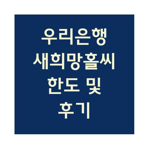 우리은행 새희망홀씨