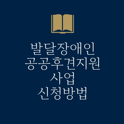 발달장애인 공공후견